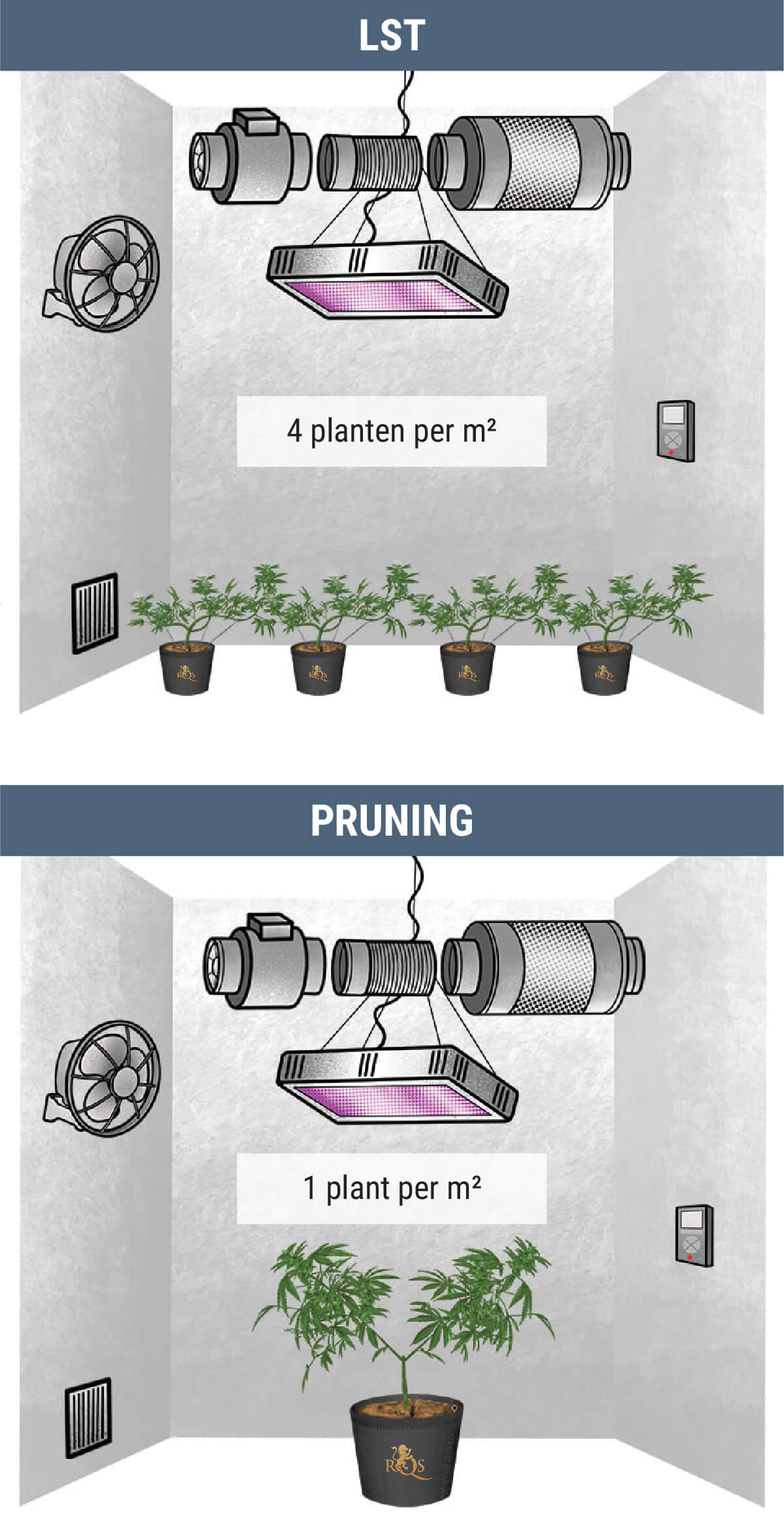 Hoeveel Wietplanten Kun Je Per Vierkante Meter Kweken?
