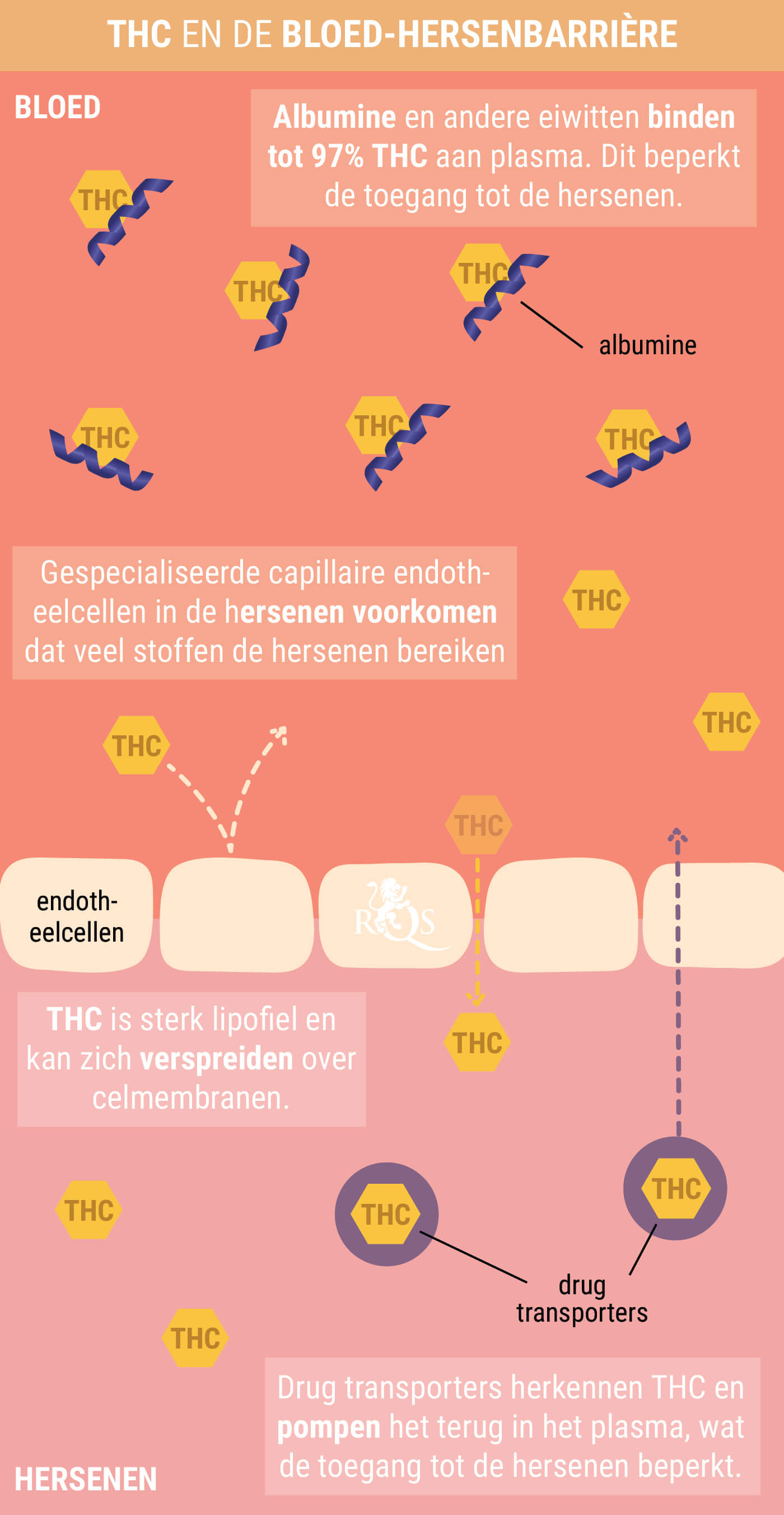 Wat is een Wietkater? Wat is een Wietkater?