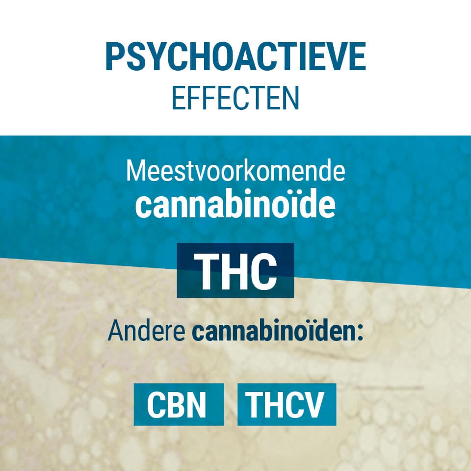 Psychoactieve Effecten THC