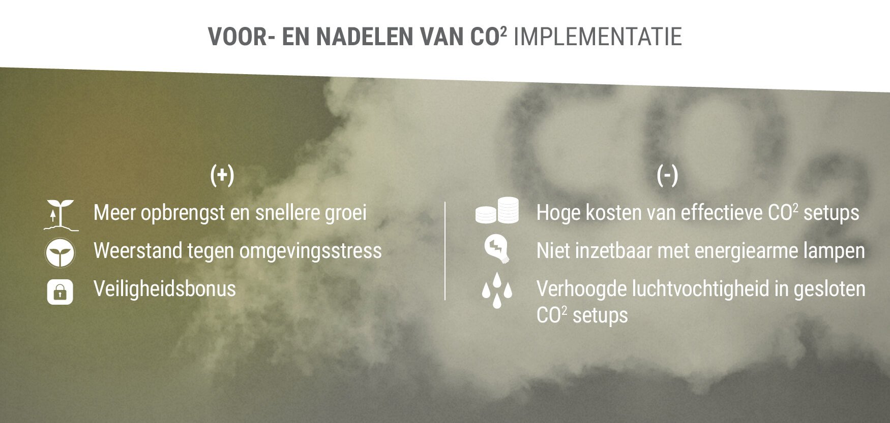 Voor- en Nadelen van CO2 Implementatie