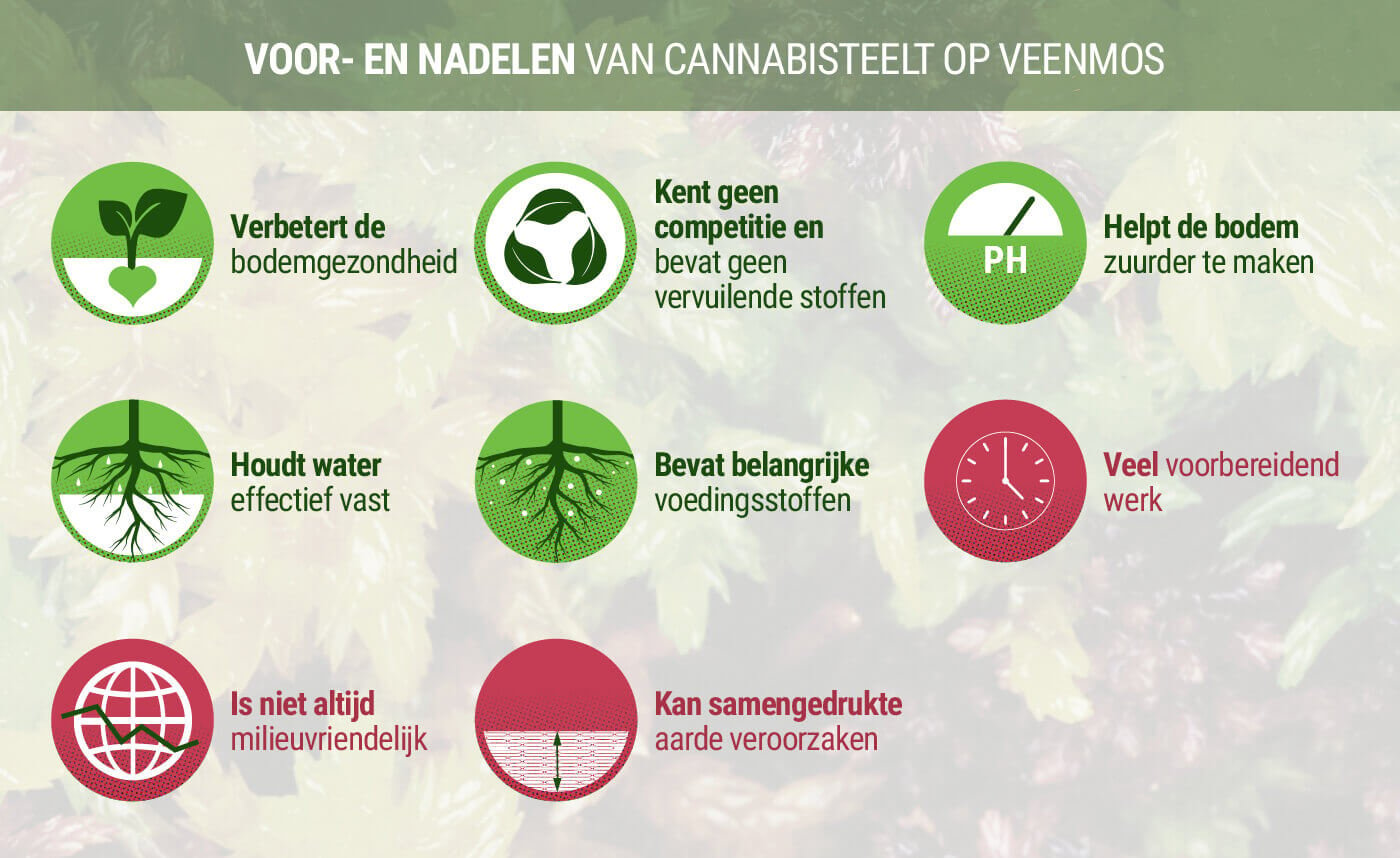 Voor- en Nadelen van Cannabisteelt op Veenmos