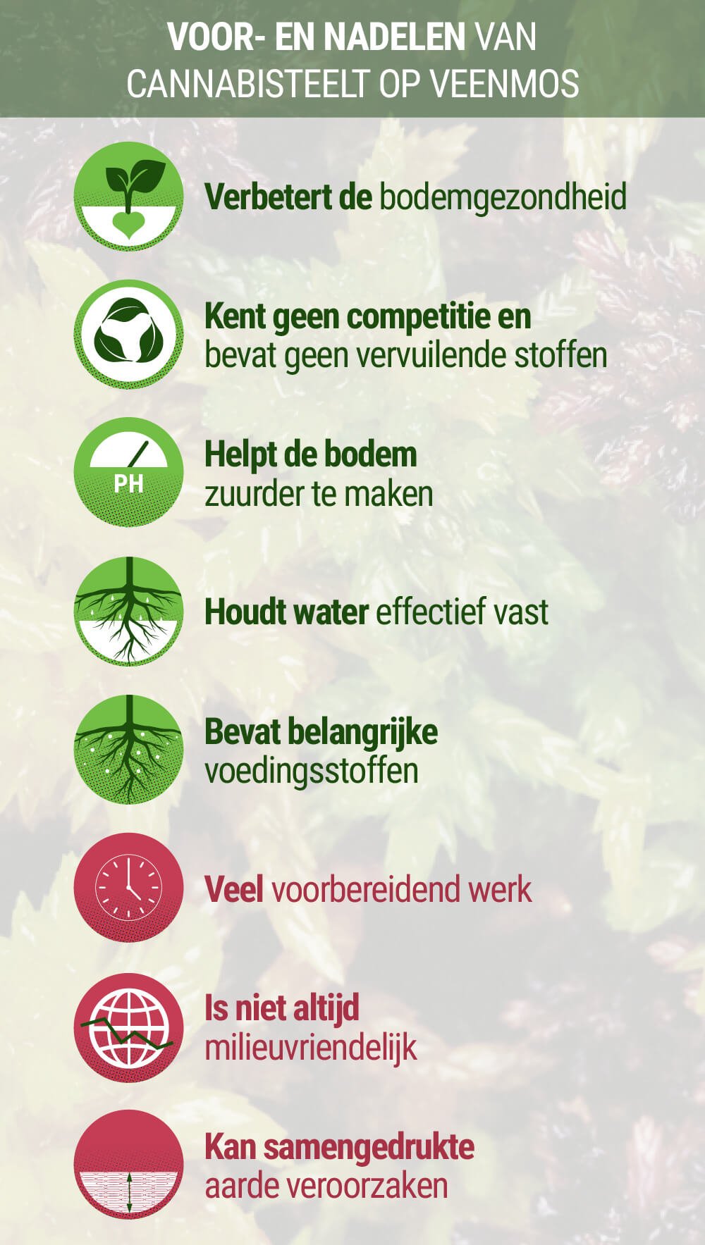 Voor- en Nadelen van Cannabisteelt op Veenmos