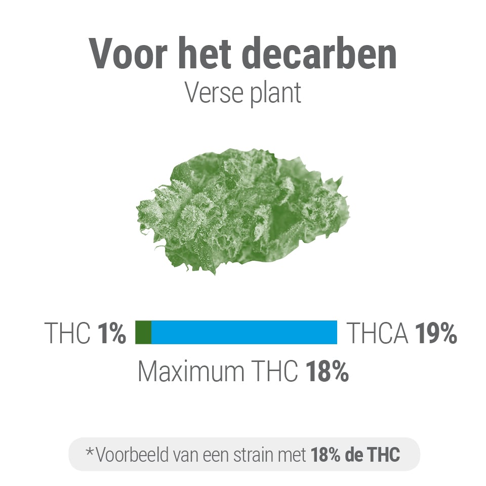 Decarboxylatie Decarboxylatie