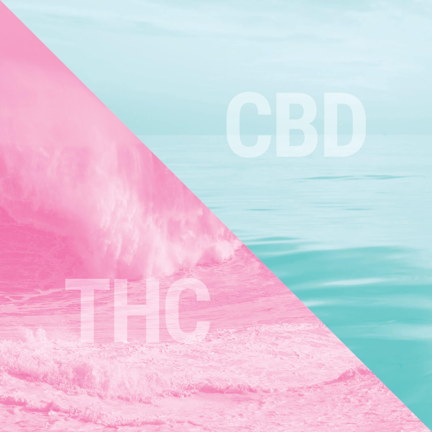 THC en CBD