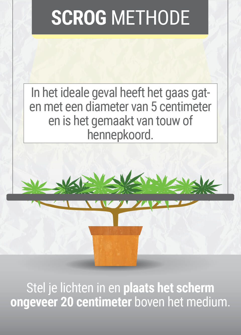 Wat is de ScrOG-Techniek?