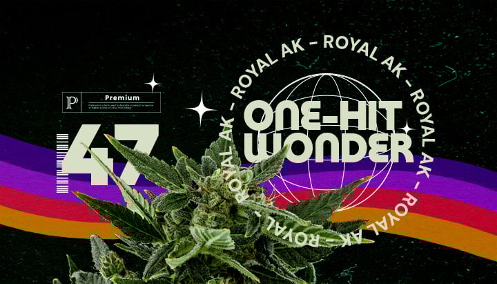 Royal AK Stam Informatie Cannabis Gids Een illustratie van een cannabisbloem met de tekst