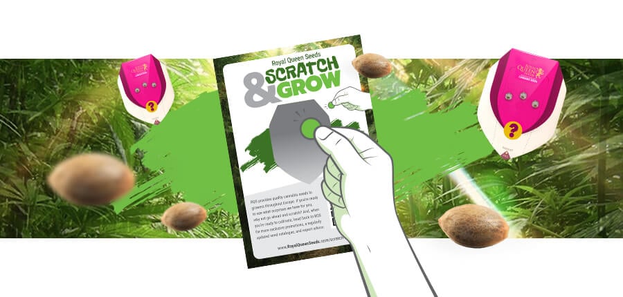 Scratch Card Scratch Card
