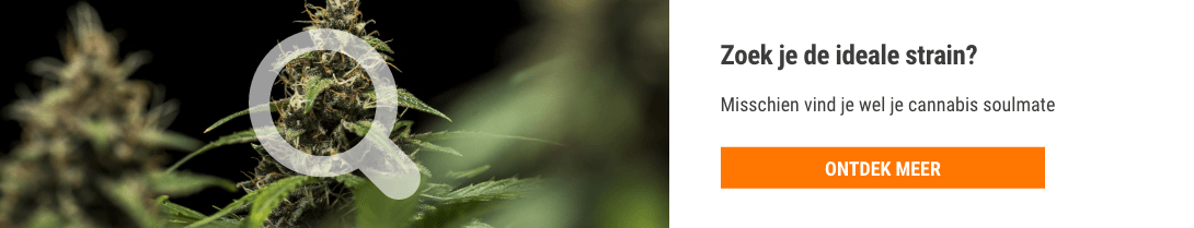Cannabis Seedfinder