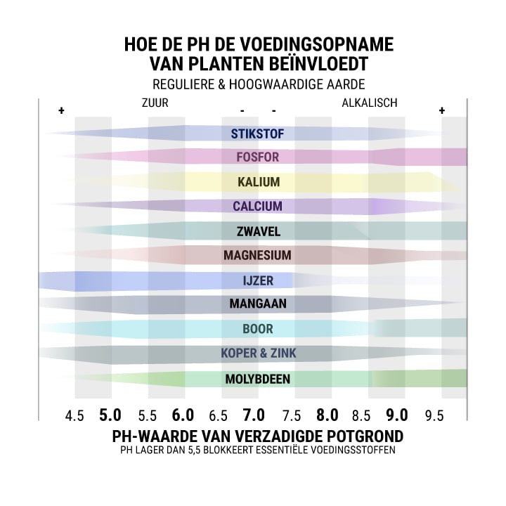 Hoe de PH de Voedingsopname Van Planten Beïnvloedt Reguliere & Hoogwaardige Aarde