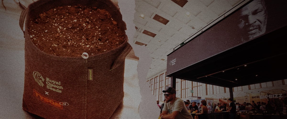 De toekomst zaaien – Royal Queen Seeds x Tyson 2.0 kweekzak op cannabisbeurs Stoffen kweekzak met aarde van Royal Queen Seeds x Tyson 2.0, naast een drukbezochte beursstand met Mike Tysons afbeelding en branding op een cannabis evenement.