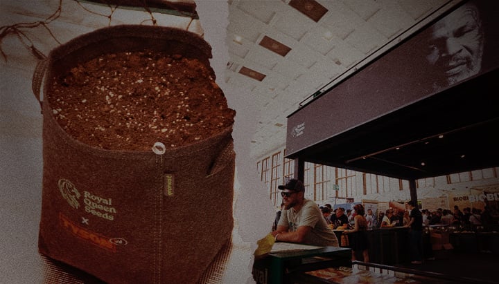De toekomst zaaien – Royal Queen Seeds x Tyson 2.0 kweekzak op cannabisbeurs Stoffen kweekzak met aarde van Royal Queen Seeds x Tyson 2.0, naast een drukbezochte beursstand met Mike Tysons afbeelding en branding op een cannabis evenement.