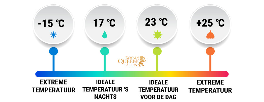 DE TEMPERATUUR SPEELT EEN BELANGRIJKE ROL BIJ ONTKIEMEN TemperaturaDE TEMPERATUUR SPEELT EEN BELANGRIJKE ROL BIJ ONTKIEMEN