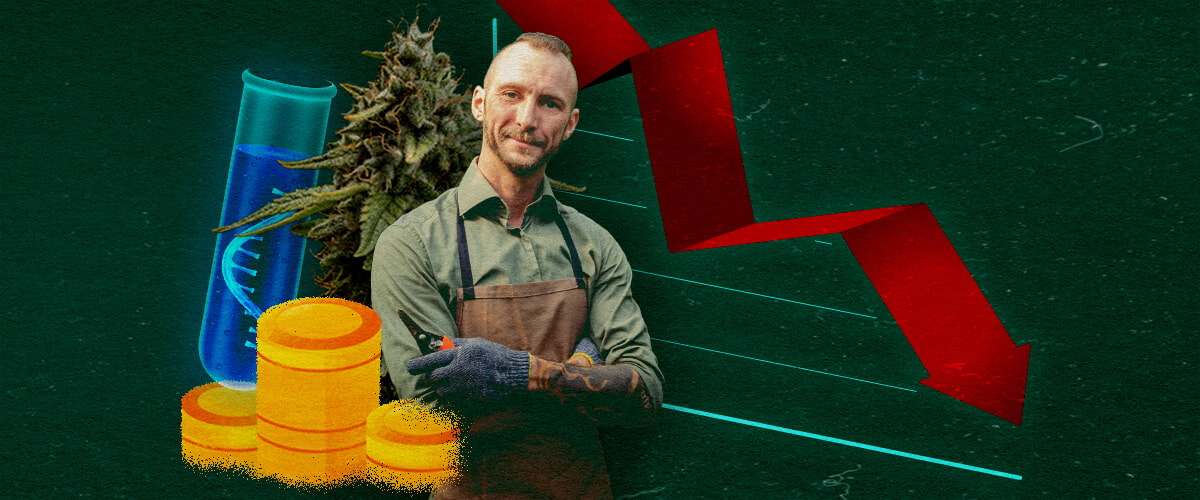 Economische Impact op Weedkwekers Cannabis-kweker met reageerbuis, munten en dalend rood grafiek op groene achtergrond, tonen economische impact.