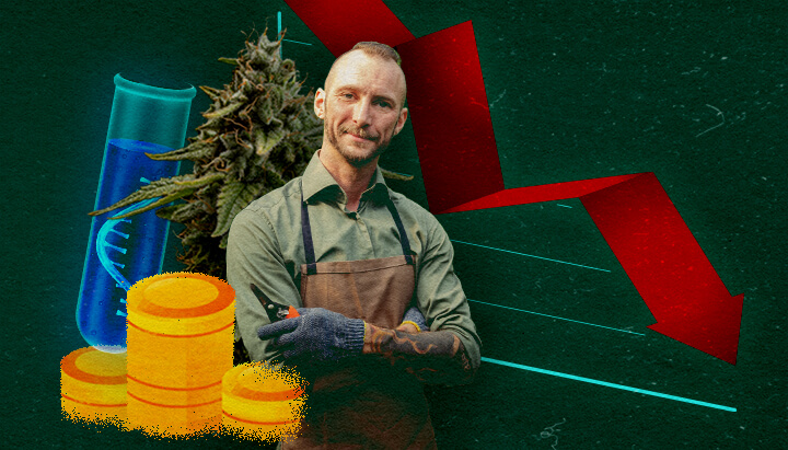 Economische Impact op Weedkwekers Cannabis-kweker met reageerbuis, munten en dalend rood grafiek op groene achtergrond, tonen economische impact.