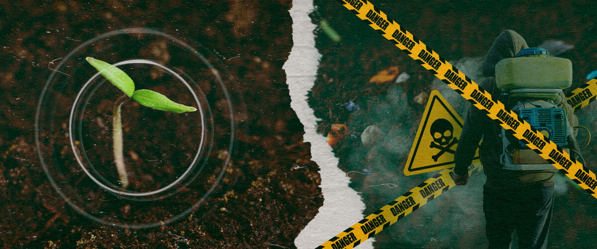 Het contrast tussen gezonde plantengroei en de gevaren van synthetische fungiciden in de moderne landbouw, waarbij de noodzaak van biologische alternatieven wordt benadrukt.