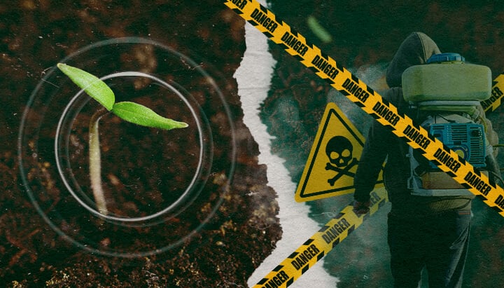 Het contrast tussen gezonde plantengroei en de gevaren van synthetische fungiciden in de moderne landbouw, waarbij de noodzaak van biologische alternatieven wordt benadrukt.