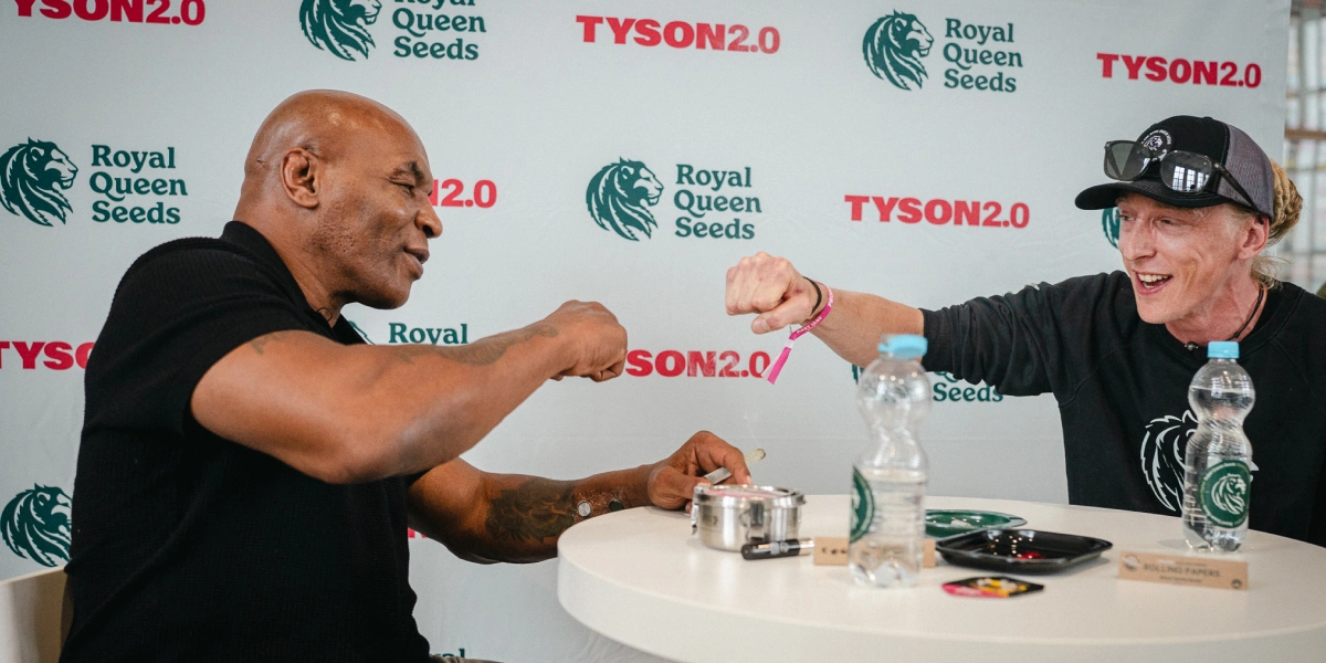 Mike Tyson praat met Max Majot over cannabiscultuur Bekijk hoe Mike Tyson en master grower Max Majot praten over cannabiscultuur in Europa, opvallende soorten en wat het belangrijkst is voor kwekers.