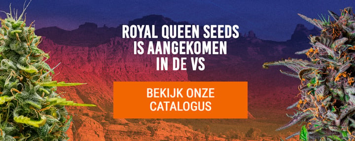 Royal Queen Seeds USA