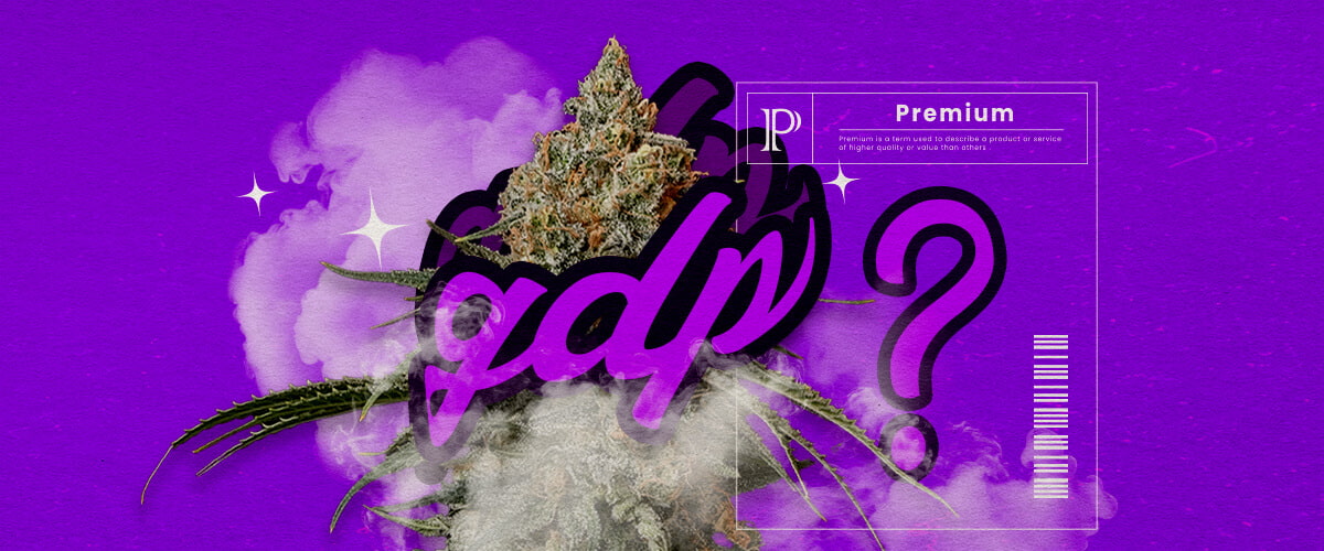 Granddaddy Purple Cannabis Soort Info Gids Een illustratie van Granddaddy Purple cannabisbloemen met diepe paarse tinten en een dichte structuur, die de dominante indica-hybride kenmerken en de zoete druifachtige geur benadrukken, tegen een groene achtergrond.