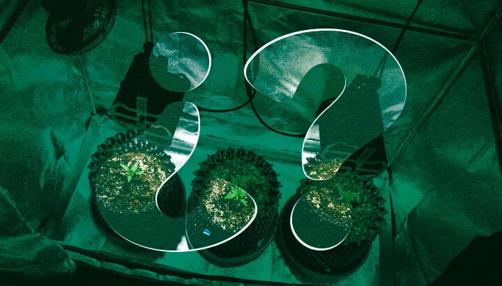 Waarom een Kweektent Gebruiken voor Cannabis? Voordelen van Indoor Kweekruimtes Ontdek de voordelen van het gebruik van een kweektent voor indoor cannabis kweken. Verken voordelen zoals geoptimaliseerde klimaatbeheersing, verbeterde lichtefficiëntie, superieure ongediertebestrijding en verhoogde privacy voor je cannabisplanten.