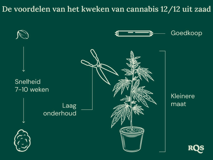 12-12 Cannabis Light Cycle advantages