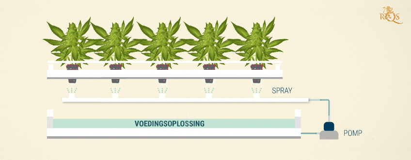 Aeroponics met continue stroming