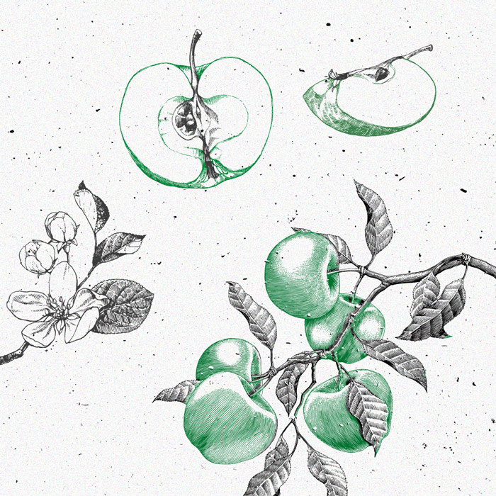 Farnesene: A Little-Known Cannabis Terpene Farnesene: A Little-Known Cannabis Terpene