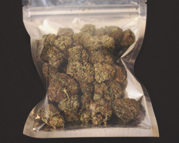 Bag your buds Bag your buds