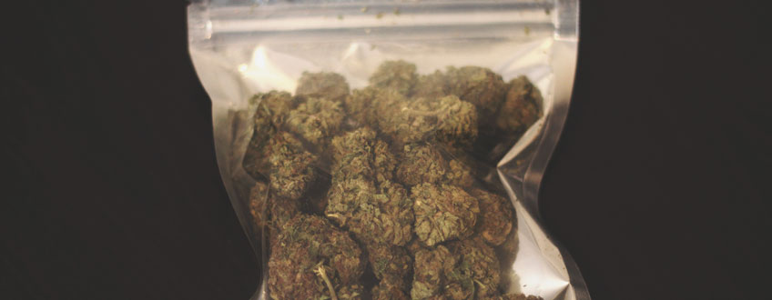 Bag your buds Bag your buds