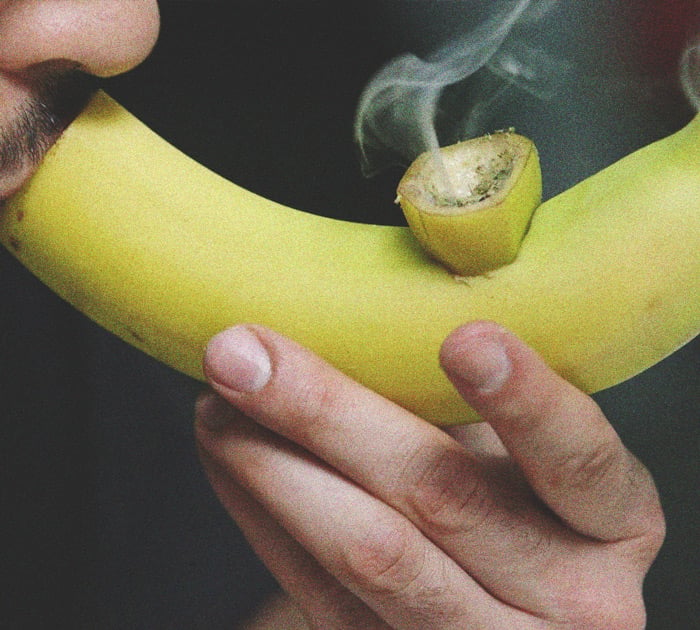 De beste groentes en fruit voor een zelfgemaakte pijp