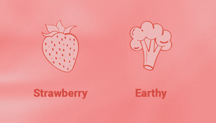 Strawberry Cough Strain Aroma