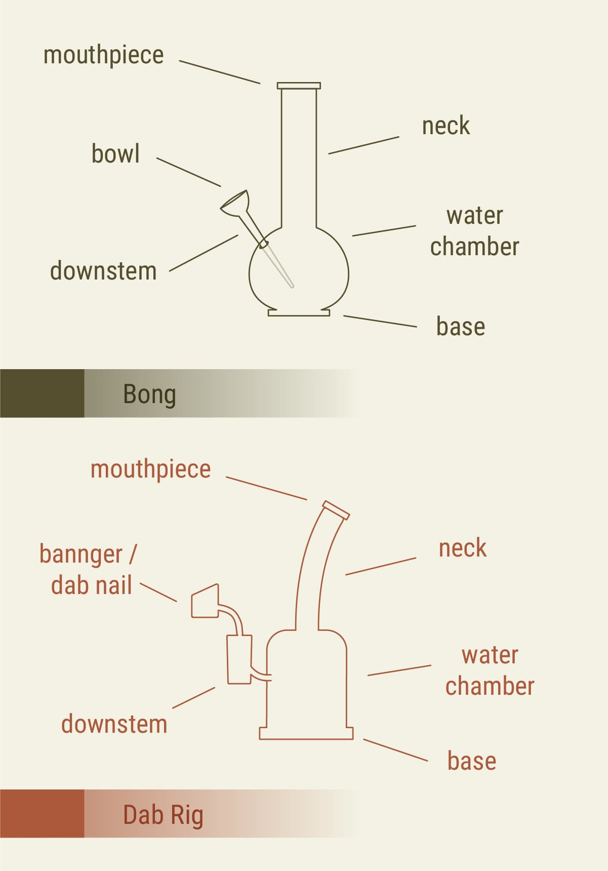 Dab rig versus bong: design