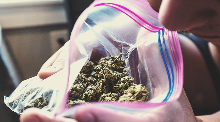 Hoe weet je of je een echte stoner bent? Hoe weet je of je een echte stoner bent?