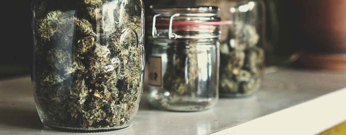 THC versus CBD THC versus CBD