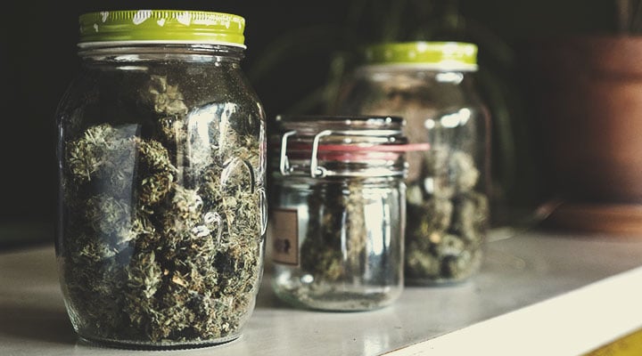 THC versus CBD THC versus CBD