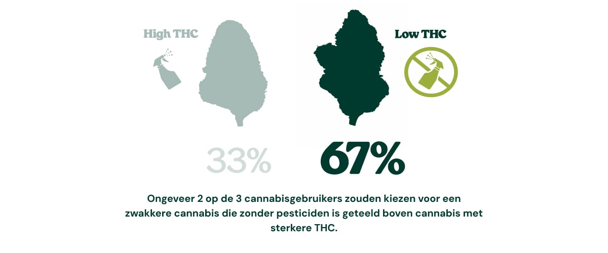 Infographic die laat zien dat 67% van de cannabisconsumenten cannabis met een lager THC-gehalte, geteeld zonder pesticiden, zou verkiezen boven sterkere cannabis met een hoger THC-gehalte, terwijl 33% zou kiezen voor cannabis met een hoog THC-gehalte.