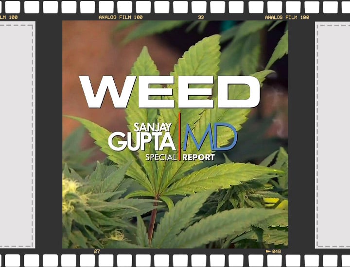 Cannabis Documentaires
