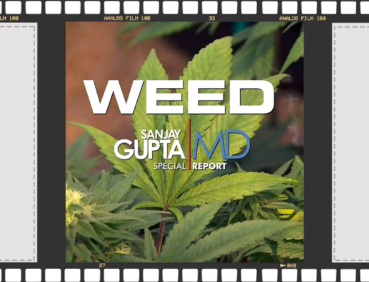 Cannabis Documentaires Cannabis Documentaires