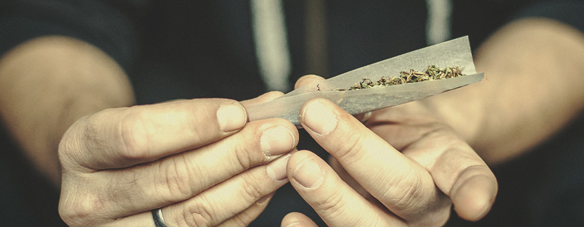 WIE GEBRUIKT FEMINIZED SOORTEN EN WAAROM? WIE GEBRUIKT FEMINIZED SOORTEN EN WAAROM?