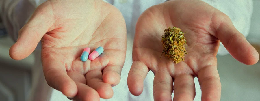 medische cannabis Tasmania Australië legalisatie
