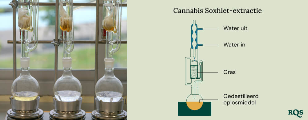 Cannabis soxhlet extraction