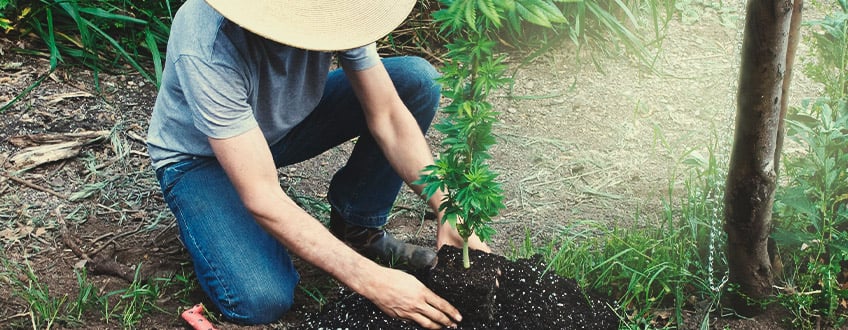 FACTOREN DIE HET TERROIR BEÏNVLOEDEN