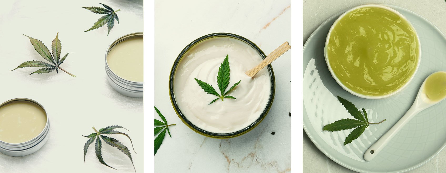 Hoe verschilt cannabiszalf van lotions en crèmes?