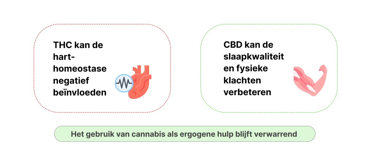 Infografiek die mogelijke effecten van THC en CBD op sportprestaties, hart-homeostase, slaapkwaliteit en herstel toont