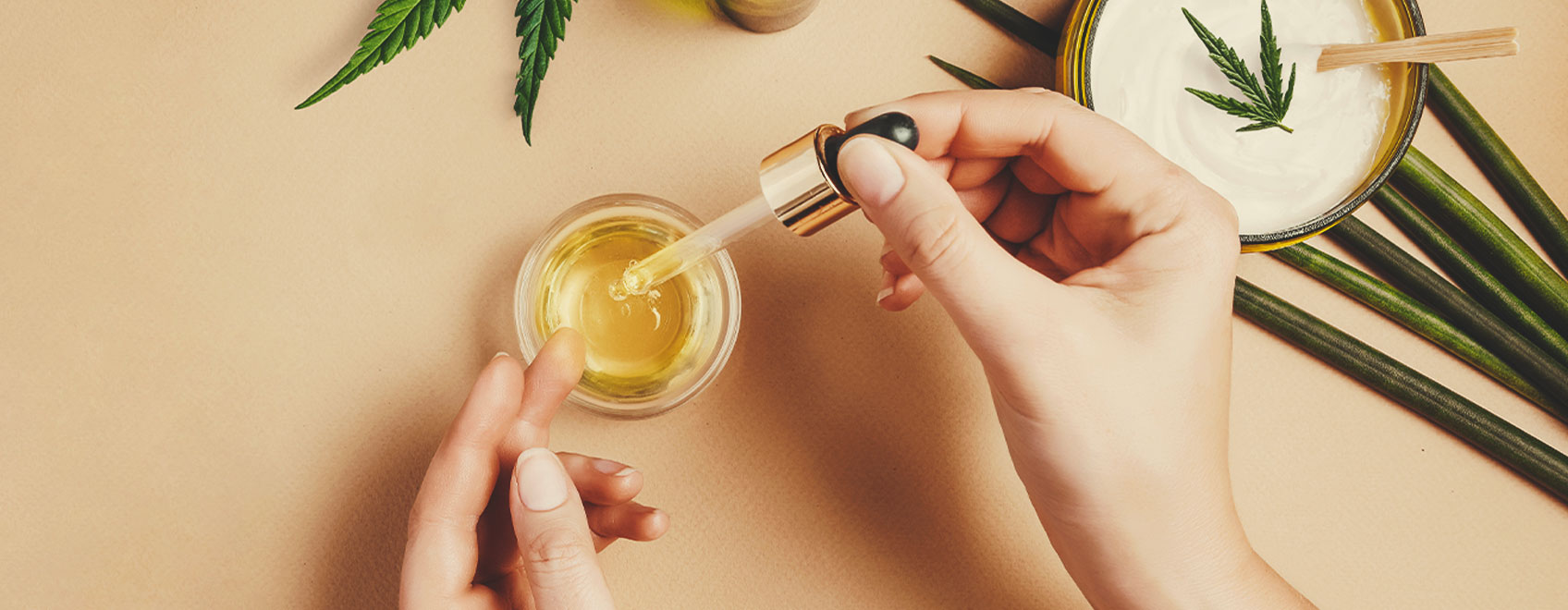 Hoe maak je van therapeutische wietzaadjes CBD-olie? Hoe maak je van therapeutische wietzaadjes CBD-olie?