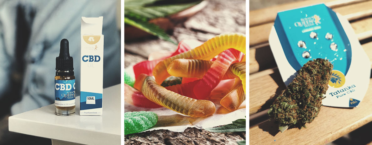 Welke soorten CBD-producten zijn verkrijgbaar? Welke soorten CBD-producten zijn verkrijgbaar?
