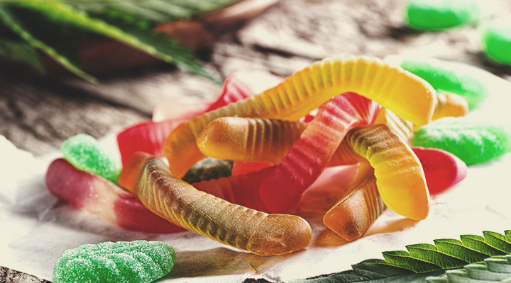 Welke soorten CBD-producten zijn verkrijgbaar? Welke soorten CBD-producten zijn verkrijgbaar?