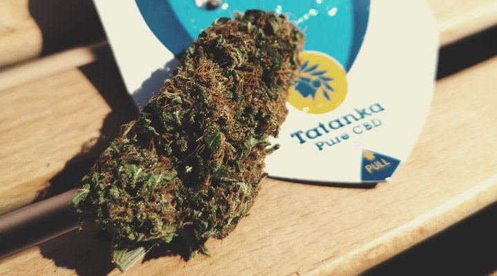 Welke soorten CBD-producten zijn verkrijgbaar? Welke soorten CBD-producten zijn verkrijgbaar?