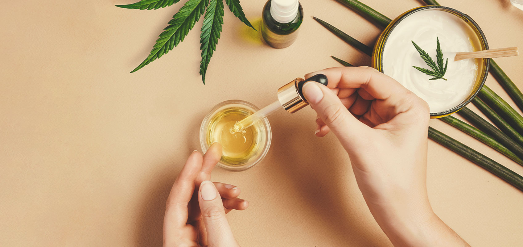 Hoe maak je van therapeutische wietzaadjes CBD-olie? Hoe maak je van therapeutische wietzaadjes CBD-olie?