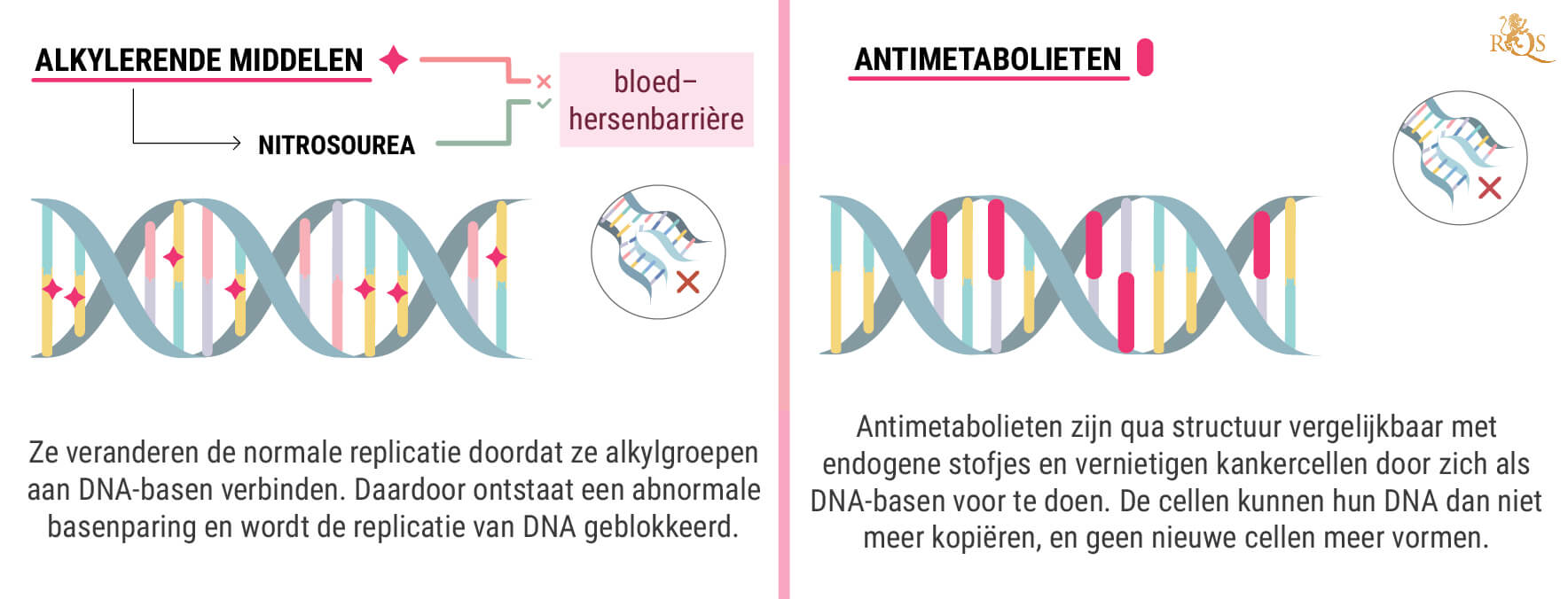 Wat Is Chemotherapie? Wat Is Chemotherapie?